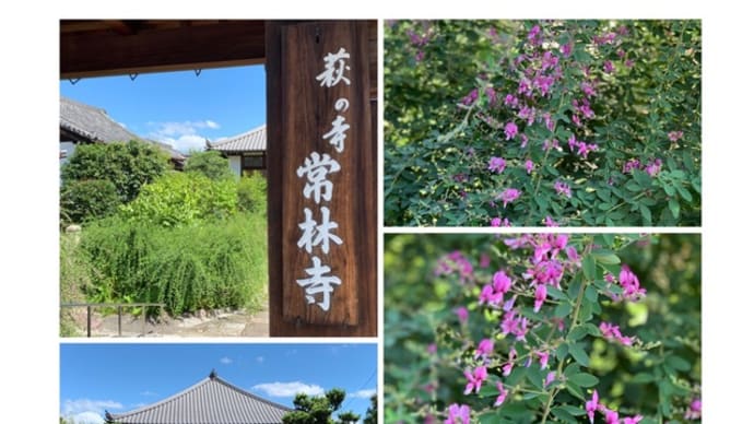 萩の寺 「常林寺」