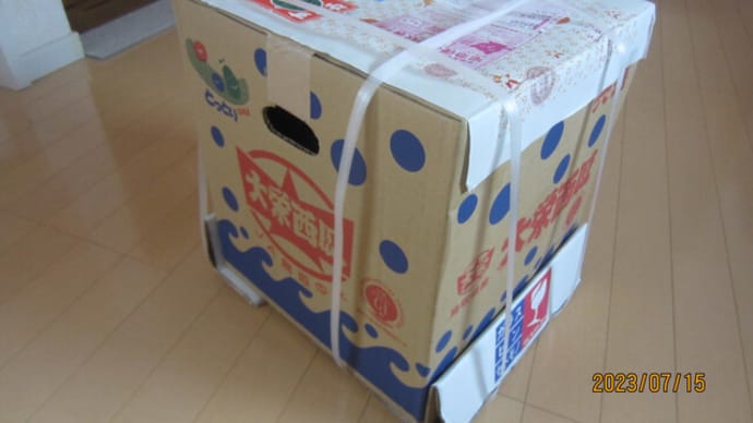 大きな、大きな🍉スイカが届きました