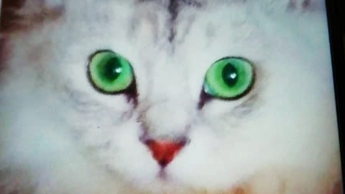 ジェロはご機嫌ナナメ😰