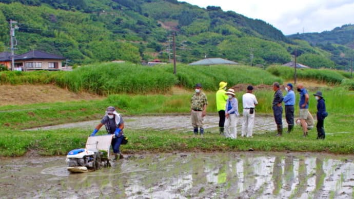 田植えは機械で 2021