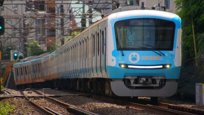 2024年6月8日 小田急 南新宿 5055F もころん号