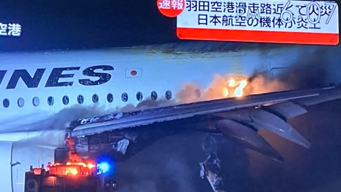 今年は何と言う年か、、、