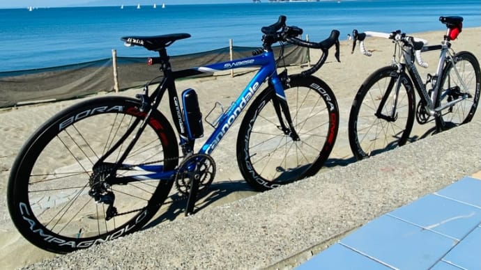 青い海は最高ですね!