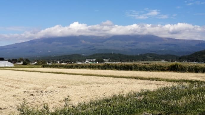 橋を渡った時新しい景色が広がる