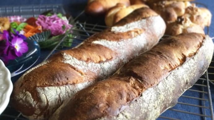 美味しい酵母パンを作るためのパン理論レッスン