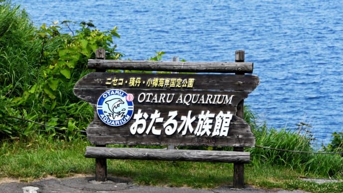 海獣公園がすごい 自然と一体化している おたる水族館でした