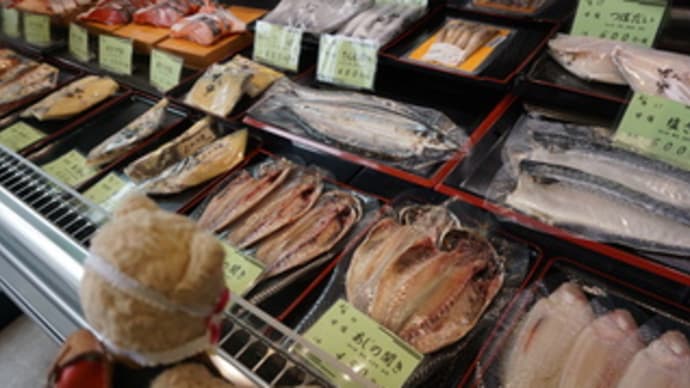 ミモロおすすめのお取り寄せ 人気の干物や西京漬の詰め合わせ 京都 魚輝 ネコのミモロのjapan Travel mimoro the cat Japan Travel ミモロおすすめのお取り寄せ 人気の干物や西京漬の詰め合わせ 京都 魚輝 ネコのミモロのjapan Travel mimoro the cat Japan Travel