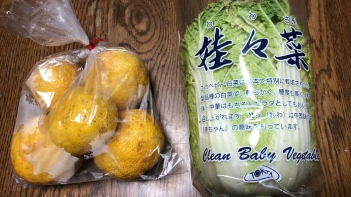 娃娃菜という可愛らしい野菜が朝市に１個だけ残っていた