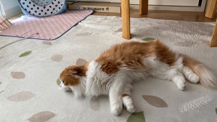 たとえどんな顔でも