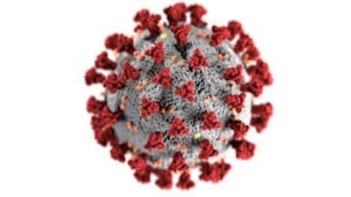 〔買い物〕Panbio COVID-19 Antigen ラピッド テスト(一般用)
