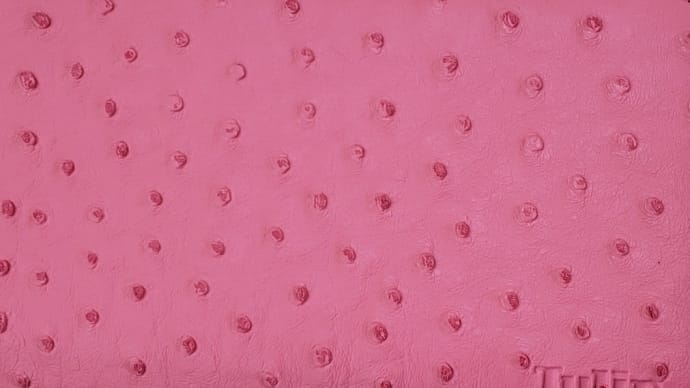 チューリップ🌷ピンク