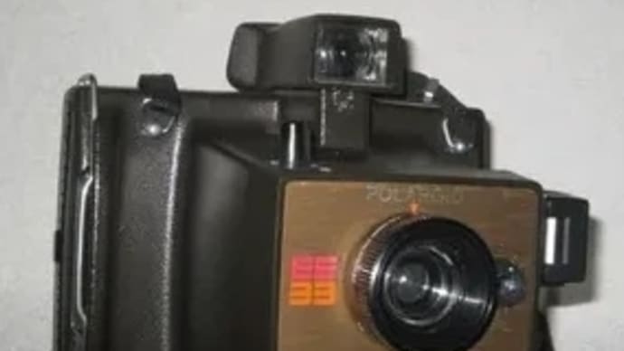 こんなの見つかった