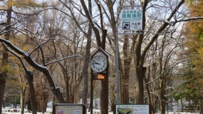 札幌にいます(3日目)ホワイトイルミネーションへ