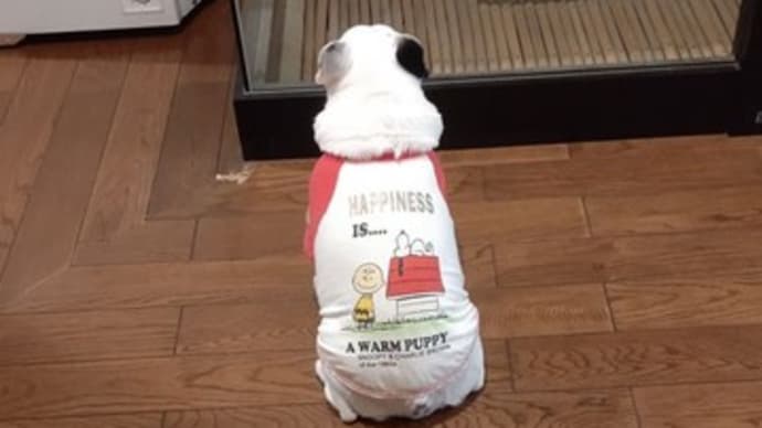 物思いにふける