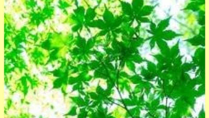 自然の中に浸る
