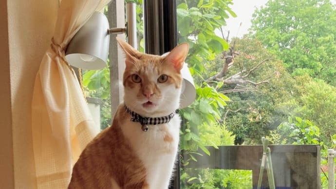 4月15日 おめでとうピーナツ2歳❣️