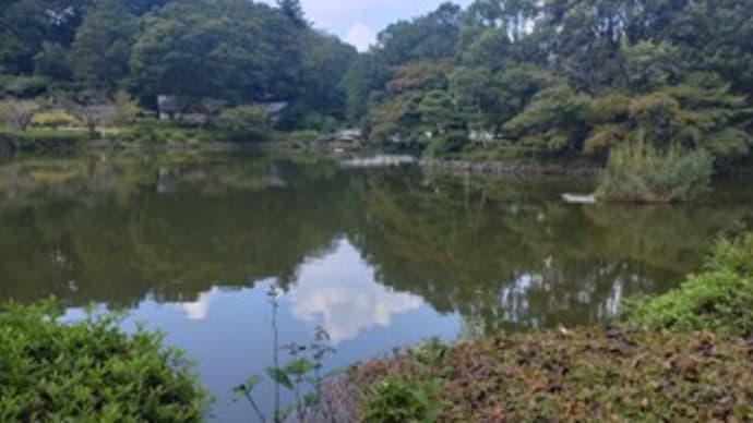 どこに行くかはどうでもいいらしい