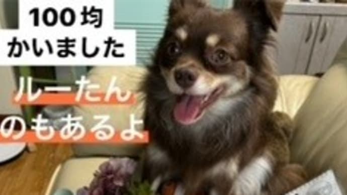 100均で 何買う?
