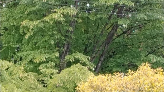 今週もスタートです