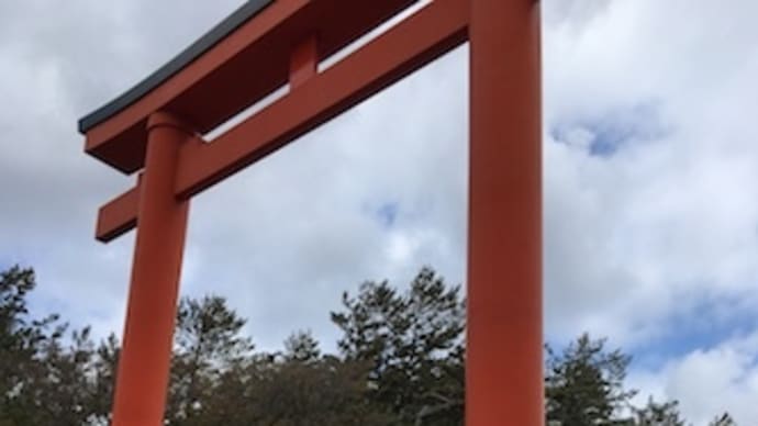 今年のおみくじは……