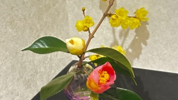 久々に生け花に挑戦
