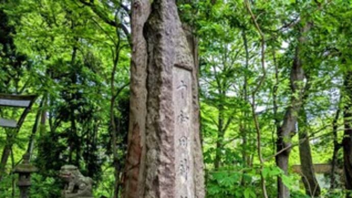 【十和田神社】『参拝』❛東北屈指のパワースポット❜ 青森県 十和田市