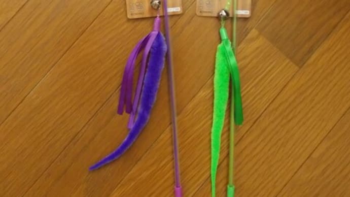 じゃらし職人の朝は早い…。