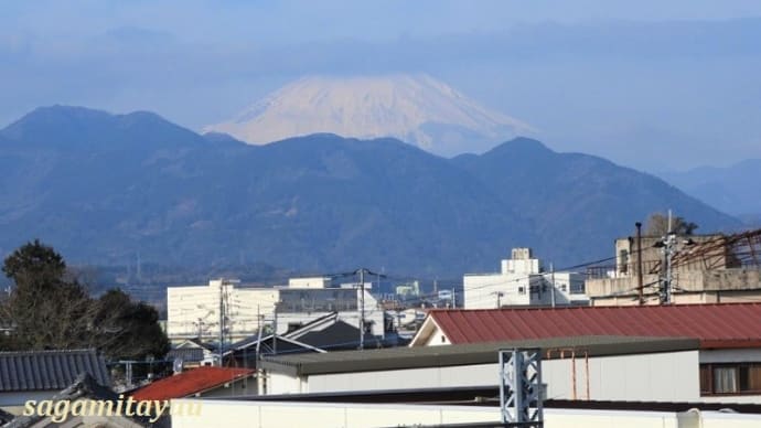 松田山から霊峰「富士山」拝撮！！