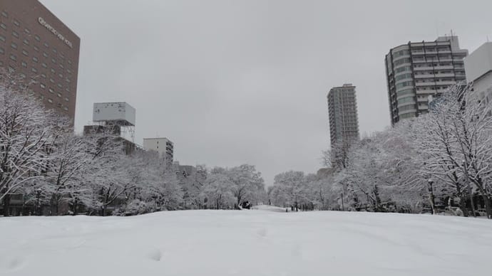 真冬に・・・戻った。