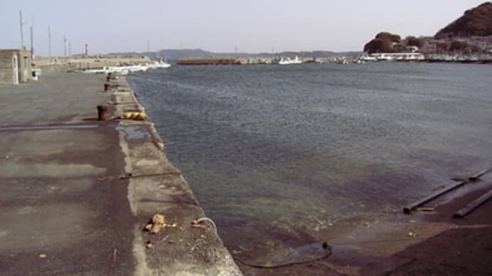 忠ｪ漁港