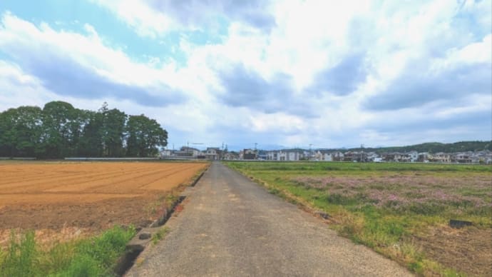 こんなはずじゃなかったのに