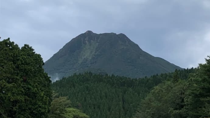 秋に向けて貧脚鍛える