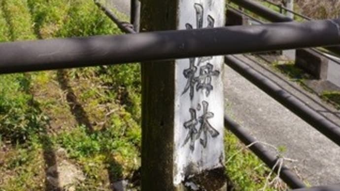 名勝・雲景山梅林へ