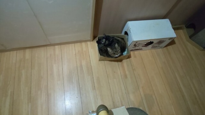 結局仲良しw