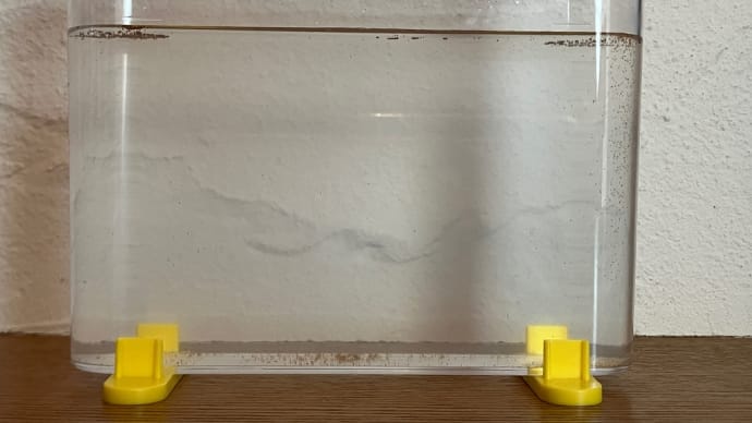 またまた新入り