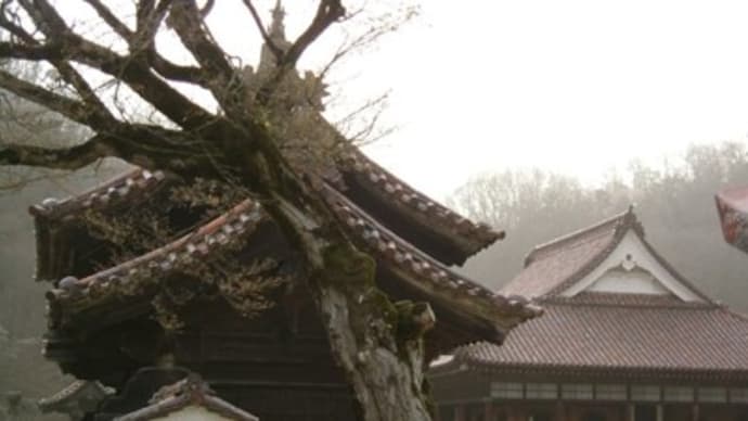 ★テレビ情報番組で閑谷学校が取り上げられていた。