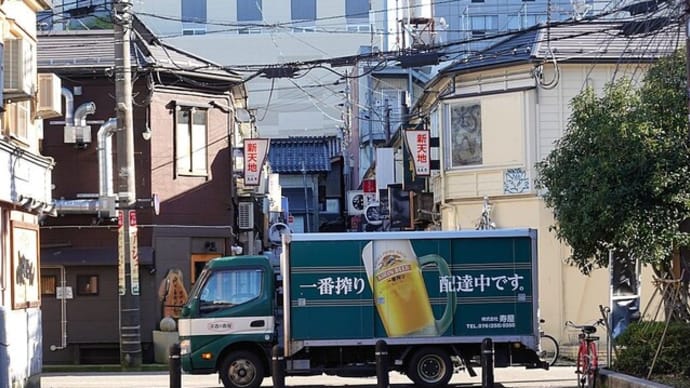 散歩写真 23/01/14