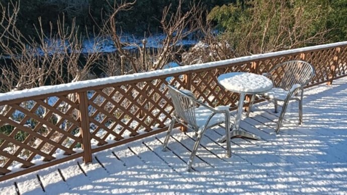 積雪、近隣散策、扇屋