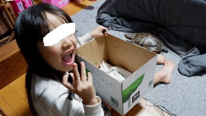 カメチの避難用準備
