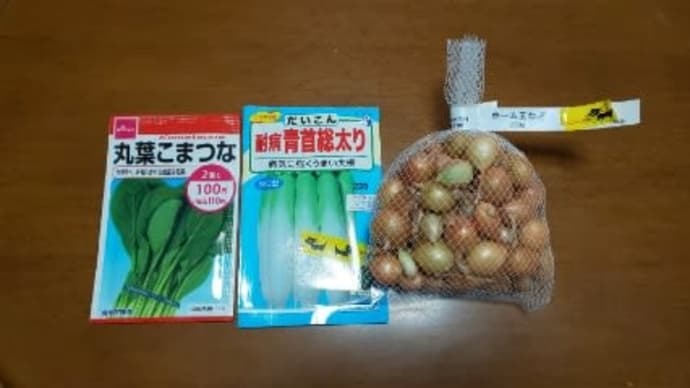 今日も雨、肌寒い一日