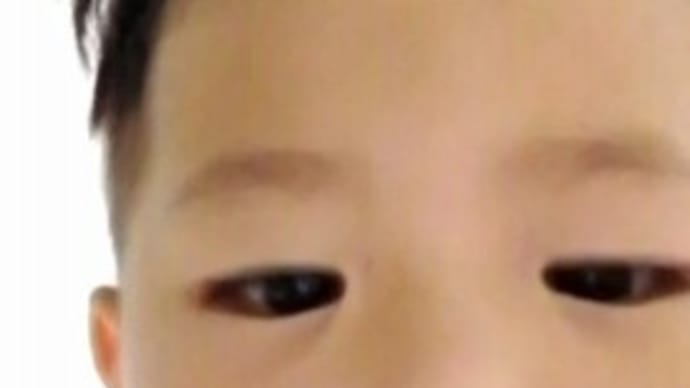今日は、一日だらだらでした。。。