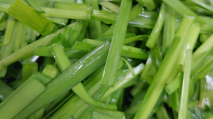 野生化したニラを食べてみた!