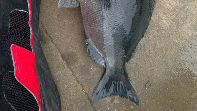 新春初釣行