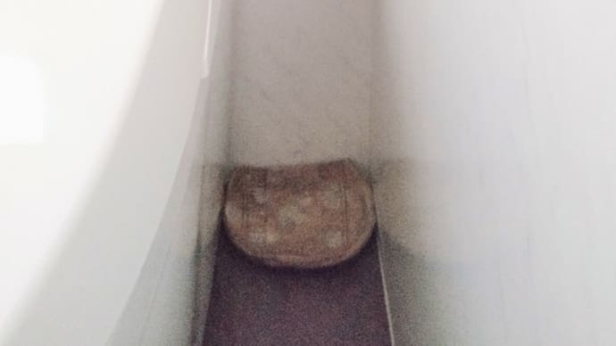 八ツ矢 竹柄たわし
