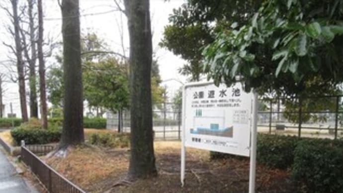 3/3 元気かい