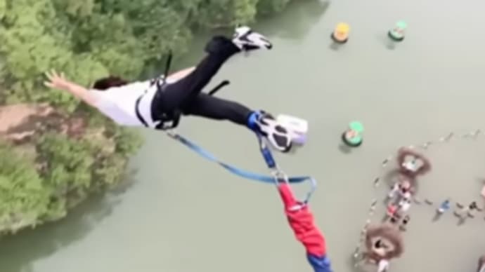 Dogs practice　pool! 　Dakota Bentley ❤️  injured　BEST! 😈　Respect 　bungee jumping　Ninja dog 😂🥷　雨の天山