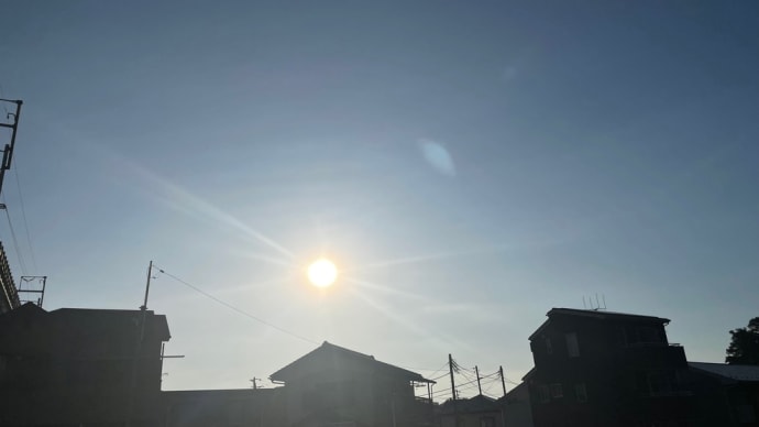 大暑明けて 香りと光のある暮らし