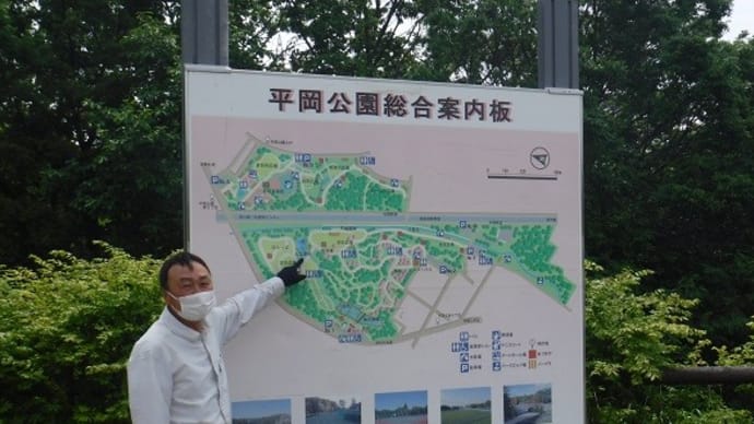 平岡公園春の湿生植物観察ツァー