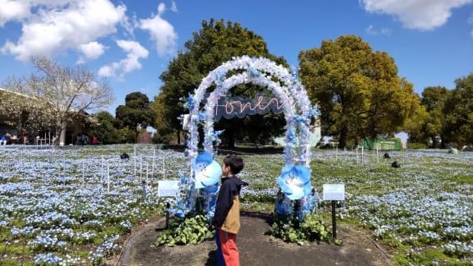 2025年4月~5月 花旅