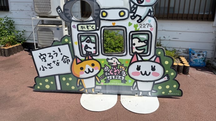 伊太祈曽駅のネコマネージャー駅長「よんたま」
